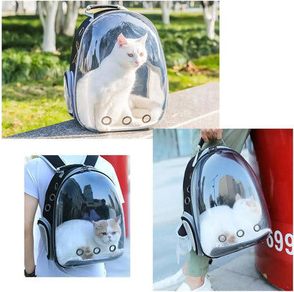 Sac à Dos Bulle Design pour Chat – Pratique, Étanche et Respirant