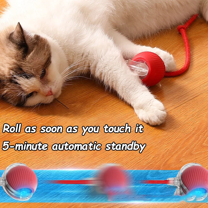 Jouets pour Chat À Balle Mobile pour L'intérieur, Balle Roulante Automatique pour Chats Et Chiens