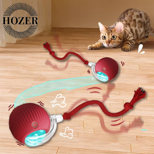 Jouets pour Chat À Balle Mobile pour L'intérieur, Balle Roulante Automatique pour Chats Et Chiens