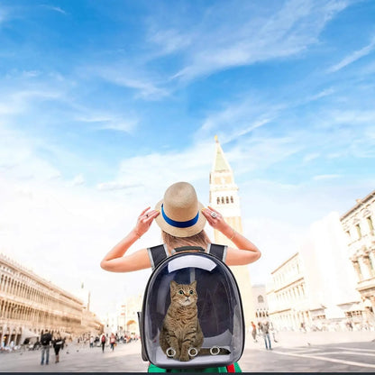 Sac à Dos Bulle Design pour Chat – Pratique, Étanche et Respirant