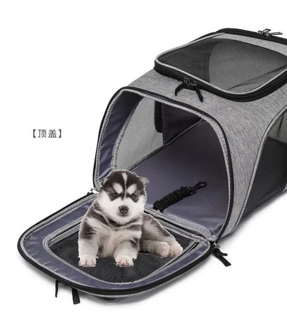 Sac à Dos Chat Chien, Extensible Sac Transport Pliable pour Petits Chiens