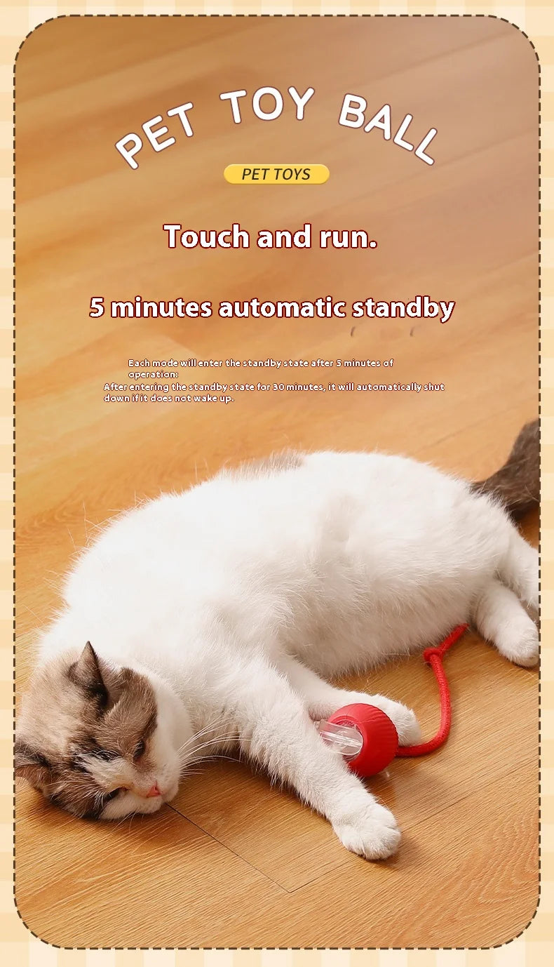 Jouets pour Chat À Balle Mobile pour L'intérieur, Balle Roulante Automatique pour Chats Et Chiens