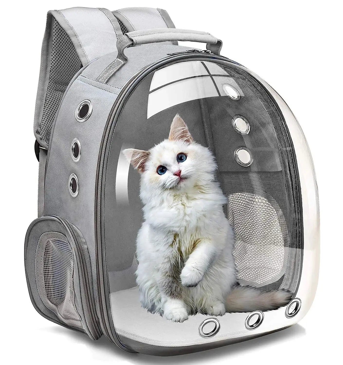 Sac à Dos Bulle Design pour Chat – Pratique, Étanche et Respirant