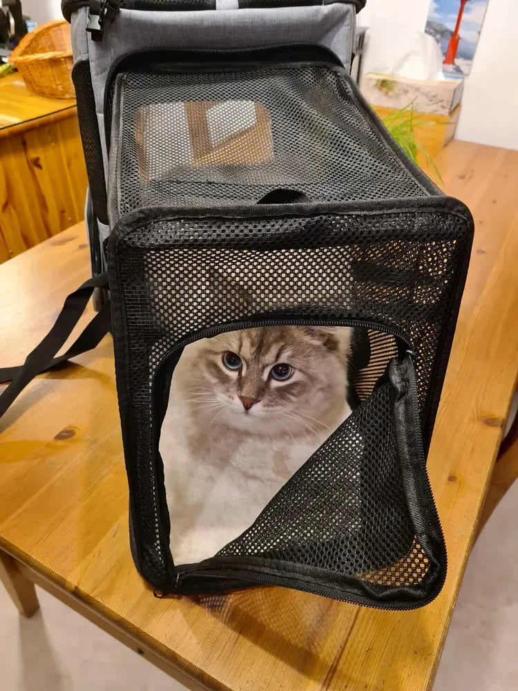 Sac à Dos Chat Chien, Extensible Sac Transport Pliable pour Petits Chiens